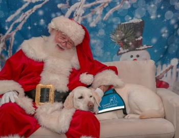 dog with santa