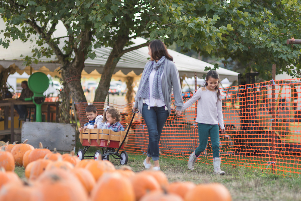 mother and daughter at a pumpkin patch